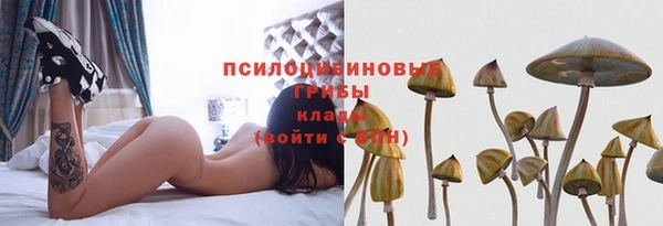 дурь Киренск