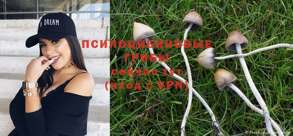 дурь Киренск