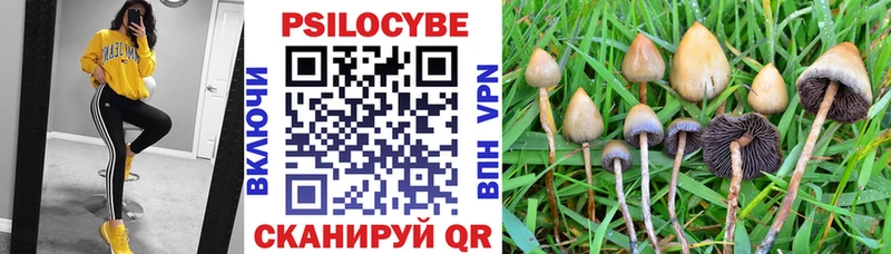Псилоцибиновые грибы Psilocybe Купить Белинский